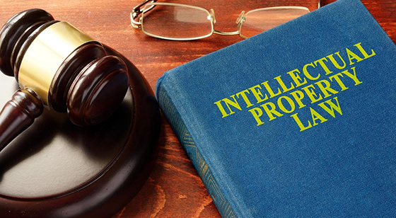Intellectual Property Rights (IPR)
